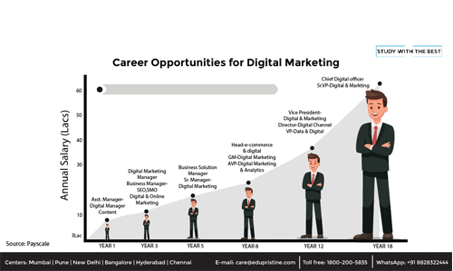 Career opportunities in digital marketing with annual salary growth from Assistant Manager to Chief Digital Officer, showing roles like Digital Marketing Manager, Business Solution Manager, Head e-commerce, and Vice President Digital Marketing.